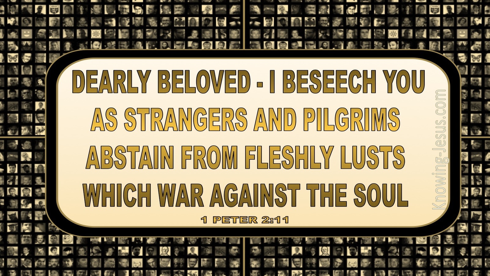 1 Peter 2:11 Abstain From Fleshly Lusts (gold)